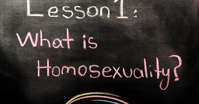 Les raisons de l’homosexualité